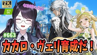 【#鳴潮】  今こそマトリクスの戦力を増やす！恒常メン育成、本格的に進めよ✨最新情報も！ / 2K1440p #663  【#Vtuber 