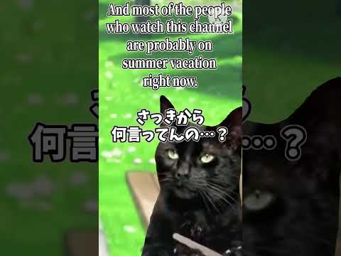 【猫ミーム】投稿遅延の件について語るやつら　#猫ミーム #猫マニ #Catmeme #モンハン #英語 #shorts