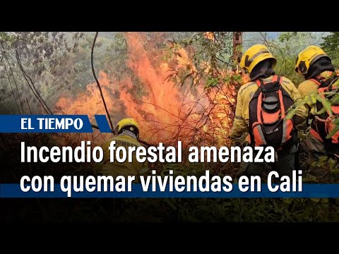 Incendio forestal amenaza con quemar viviendas en el sur de Cali | El Tiempo