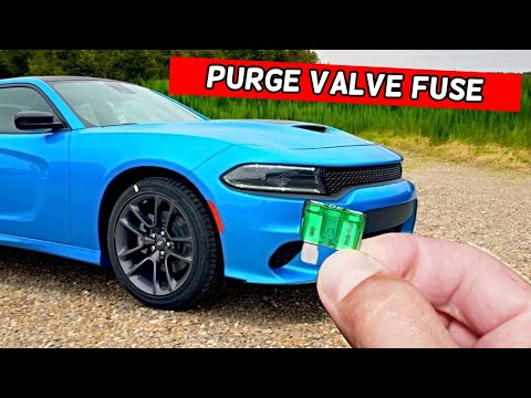 DODGE CHARGER PURGE VALVE FUSE 2013 2014 2015 2016 2017 2018 2019 2020 2021 2022 2023 2024