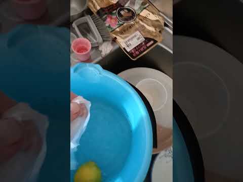 how to catch fruit lies