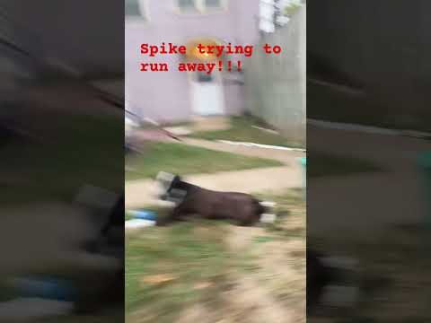 Good thing he got caught!