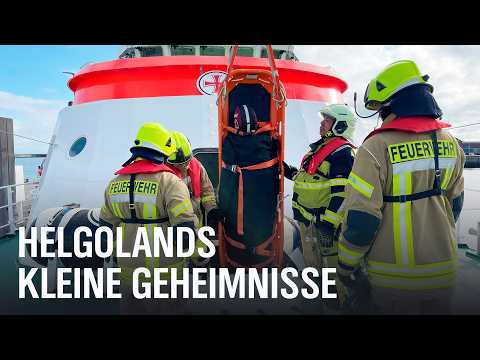 Feuerwehr, Flughafen und verletzte Haustiere - Helgoland hinter den Kulissen | Nordseereport | NDR D