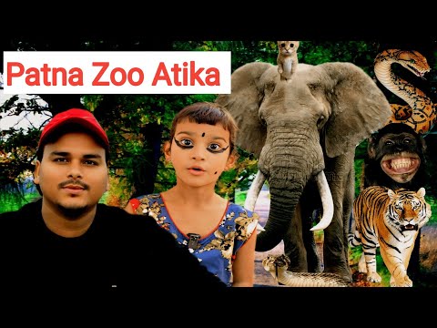 Patna Zoo Pehli Bar Gumne Gaye Fir Dekho Kaya Huwa 🤣 #funnyvideo #sukhasankastar #Atikacomedyshort 