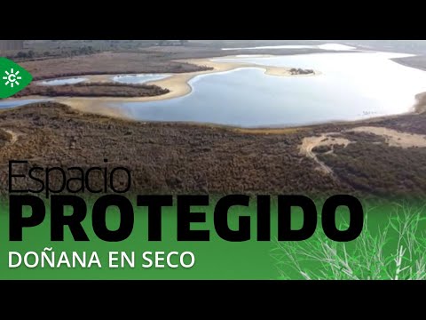 Espacio protegido | Doñana en seco