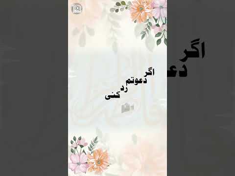 Status Video | Mustafa Ke Dil Ki Rahat Fatima | Hafiz Tahir Qadri