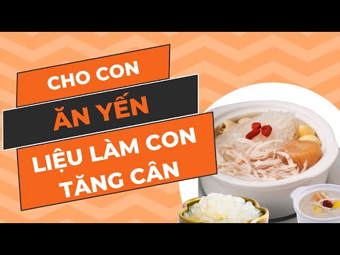 Cho con ăn yến nhưng sợ béo? | Sự thật có phải như vậy không? | Yến Sào Banest