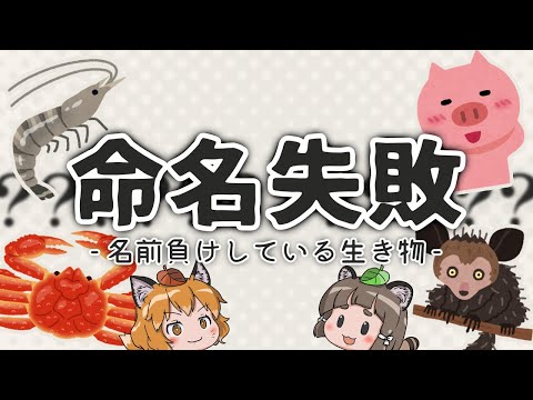 【不相応】なぜそうなった？名前負けしている生き物8選