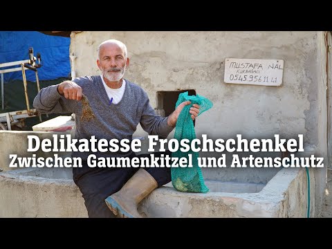 Delikatesse Froschschenkel: Zwischen Gaumenkitzel und Artenschutz (SPIEGEL TV für ARTE Re:)