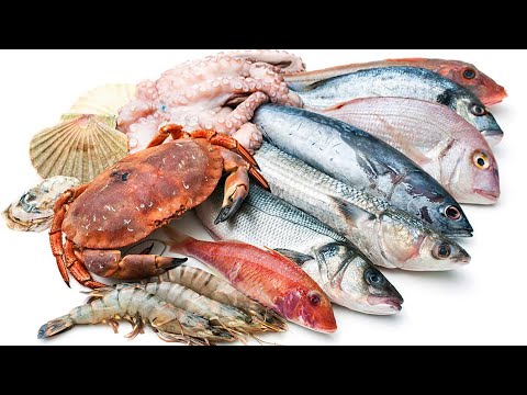Propiedades de los mariscos en la dieta