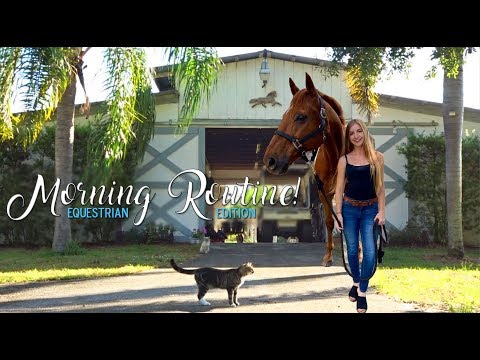 MORNING ROUTINE of an Equestrian!