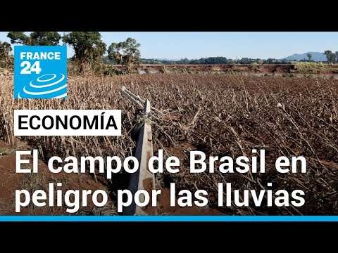 La producción agrícola de Brasil en peligro por las mortales inundaciones de Río Grande do Sul