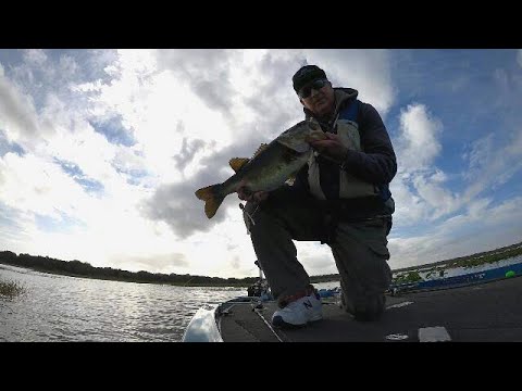 chatterbait fishing tip by michael hall