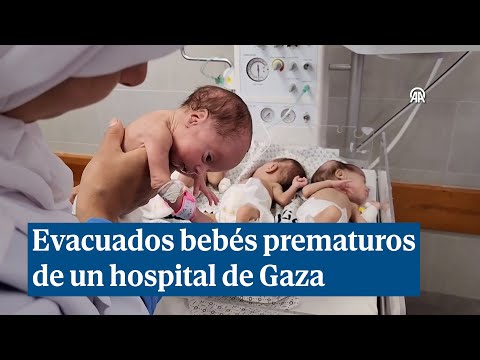 31 bebés prematuros evacuados de un hospital de Gaza hacia el sur