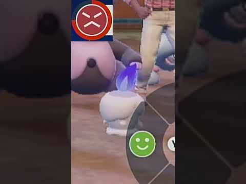 thumbnail_IbbRd-eSJDY