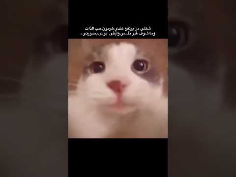 ستوريـات 2025ستوريـات بنـات انستـا كيـوت بـدون كتابـه فيديوهـات كيـوت بـدون حقـوق🤍