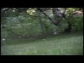 RedHandedVlogs