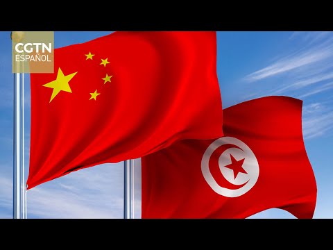 Comercio bilateral entre China y Túnez registra un aumento de 1,7 % en el primer semestre de 2023