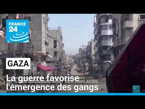 Gaza : la guerre favorise l'émergence des gangs, selon une enquête • FRANCE 24