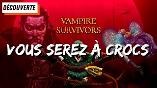 Vido-test sur Vampire Survivors 