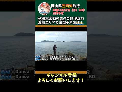 秋磯大苦戦の男がご無沙汰の渡船エリアでまさかの良型チヌGET!#shorts