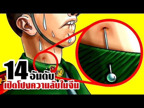 14เรื่องจริงที่ถูกตีแผ่ในประเ