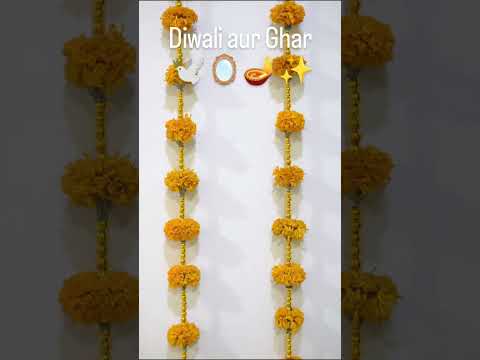 Diwali aur ghar 🪔 #ytshortsindia #ytshorts #viralvideo #elvishyadavvlogs #neetubisht #diwali2025