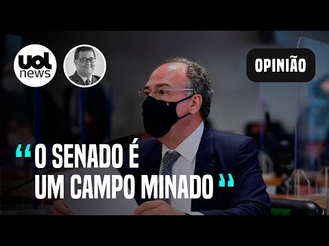 Governo Bolsonaro teve grande perda com saída de Fernando Bezerra do posto de líder, avalia Tales