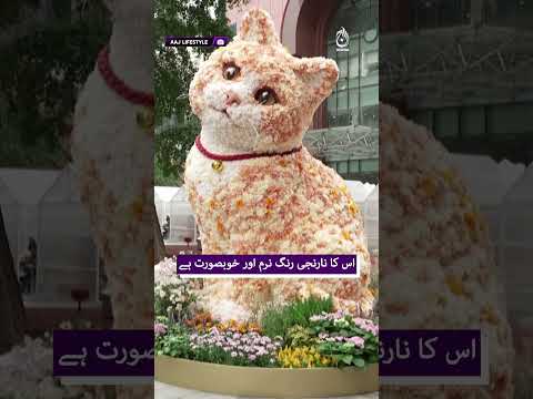 Shanghai Fat Orange Cat | Viral Digital Cat Becomes Real Flower Installation | New Photo Spot
