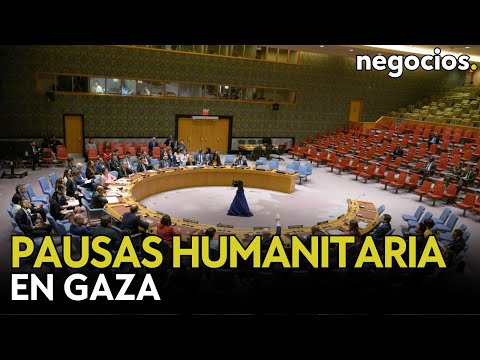 El consejo de Seguridad de la ONU aprueba una resolución que pide pausas humanitaria en Gaza