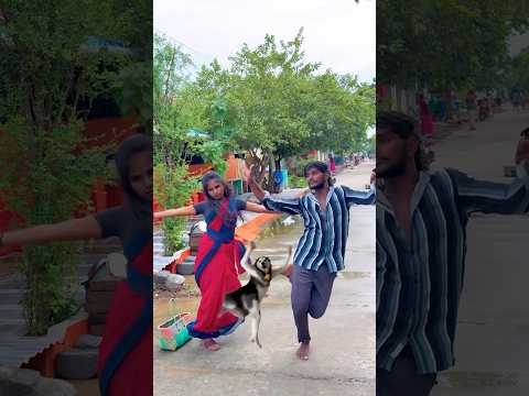 #Wait for husky🔥🔥 #sidfunnyvideos #sidcomedyvideos #sidentertainment#siddujananivideos #sid_sidduu