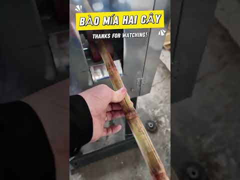 Máy bào mía hai cây