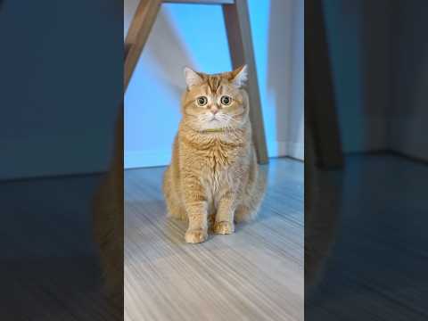 Happy Birthday, You and Me