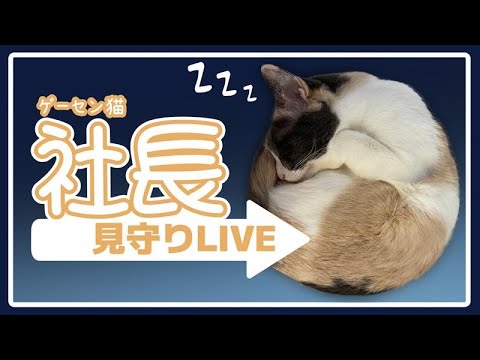 thumbnail_IdMWLvEdWsY