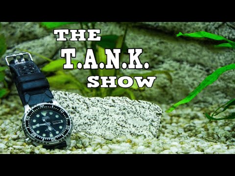 🔴The T.A.N.K Show - Aquarium Talk And Help Live Bring us your aquarium questions and top off your T.A.N.K. (Time Acquiring New Knowledge) With Chatt