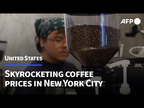 Brewing crisis: Java-loving New York confronts soaring coffee costs | AFP