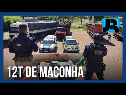 Carga com 12 toneladas de maconha é apreendida na caçamba de caminhão no Mato Grosso do Sul