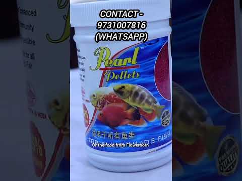 Free baby Flowerhorn with fish Food purchase , Ava Contact 
9731007816