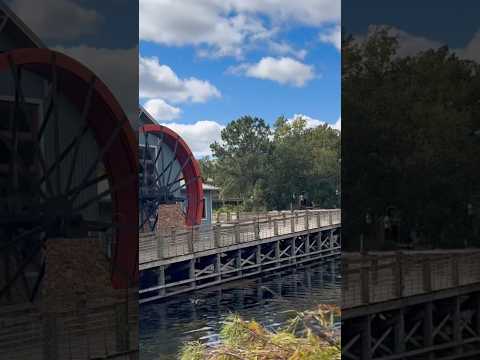 Testing the Most Relaxing Disney Resort