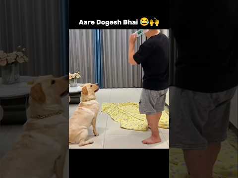 Dogesh Bhai Se Chalaki Nahi 😂🙌 #shorts #funny #memes #trending #viralvideo