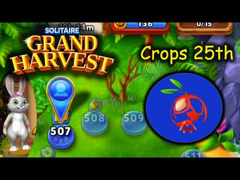 SGH E507 ~ 511 25th Crop Section 4 (Solitaire Grand Harvest)