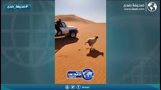 يا فرحة ما تمت