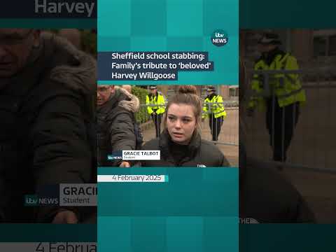 Sheffield school stabbing: Family's tribute to 'beloved' Harvey Willgoose