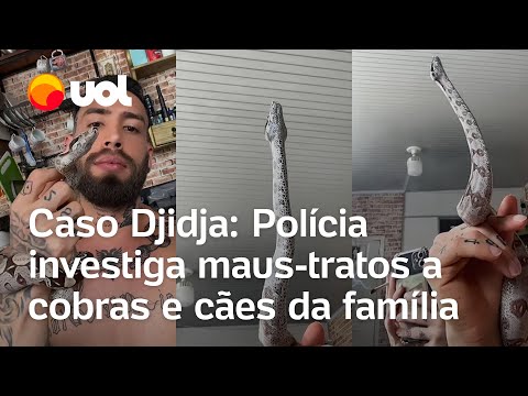 Djidja Cardoso: Polícia investiga maus-tratos a cobras na casa da ex-sinhazinha do Boi Garantido