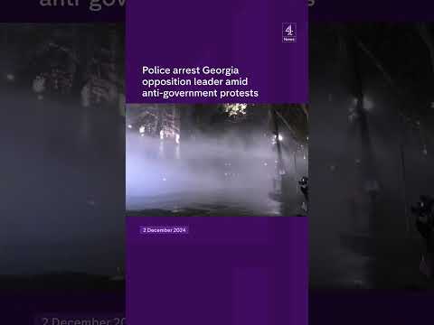 Police arrest Georgia opposition leader amid anti-government protests