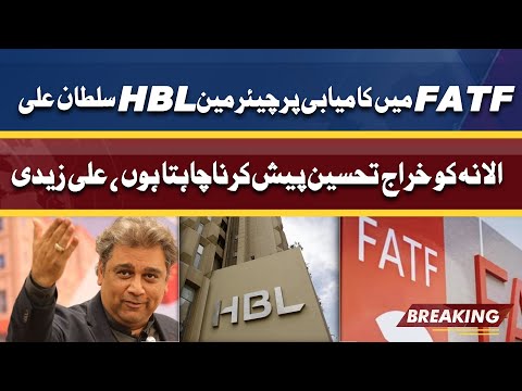 Ali Zaidi thanks Chairman HBL for playing role in completion of FATF plans