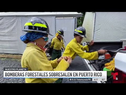 Conoce a las bomberas forestales que entrenan en El Yunque