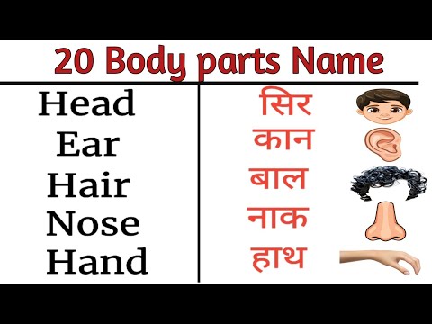 20 Body parts name || Human Body parts in hindi and english with spelling || शरीर के अंग ||