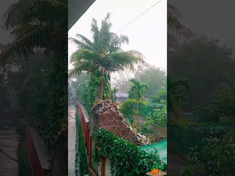 Kabhi jo badal barshe.. #bls odisha wildlife. #music