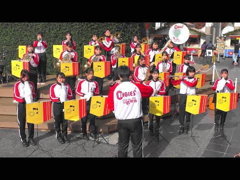 OHGIES / 新・里山音楽祭（Nov 24, 2025）